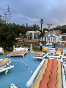 Surf groepsreis leren surfen Portugal Evolveline